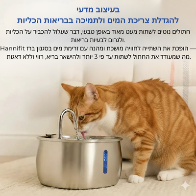 Verleng het leven van je kat met Hannifit’s filtersysteem