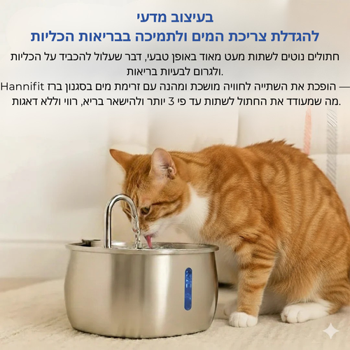 Verleng het leven van je kat met Hannifit’s filtersysteem