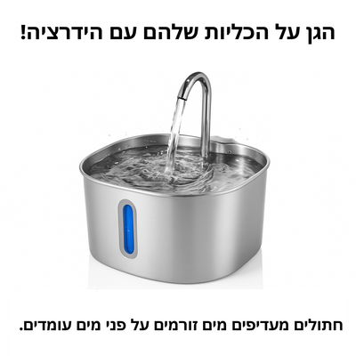 Verleng het leven van je kat met Hannifit’s filtersysteem