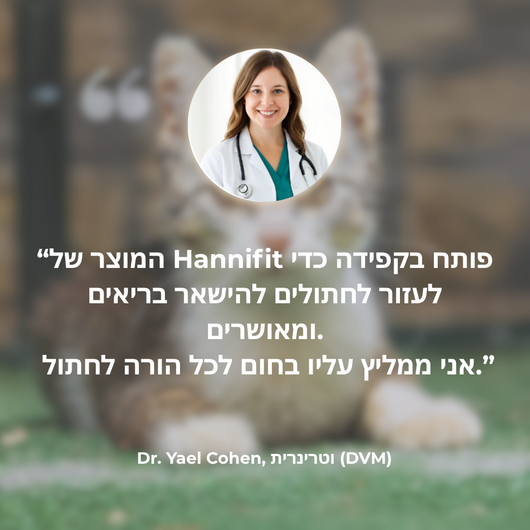 Verleng het leven van je kat met Hannifit’s filtersysteem