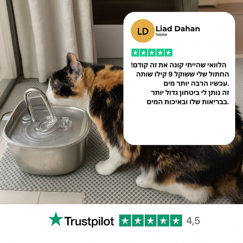 Verleng het leven van je kat met Hannifit’s filtersysteem